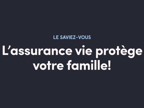 L'Assurance vie en France : Un guide complet